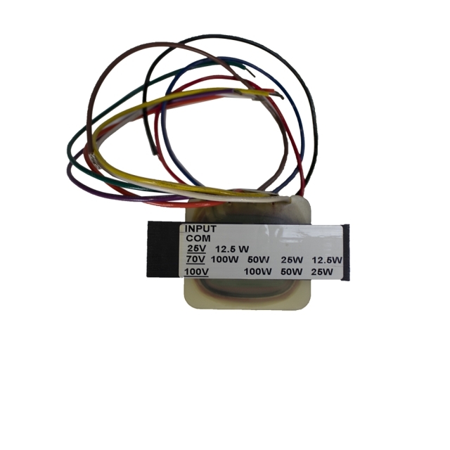 SS-TX100